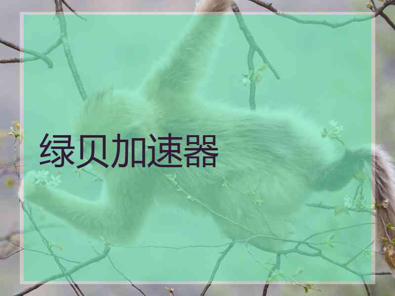 绿贝加速器