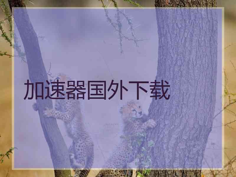 加速器国外下载