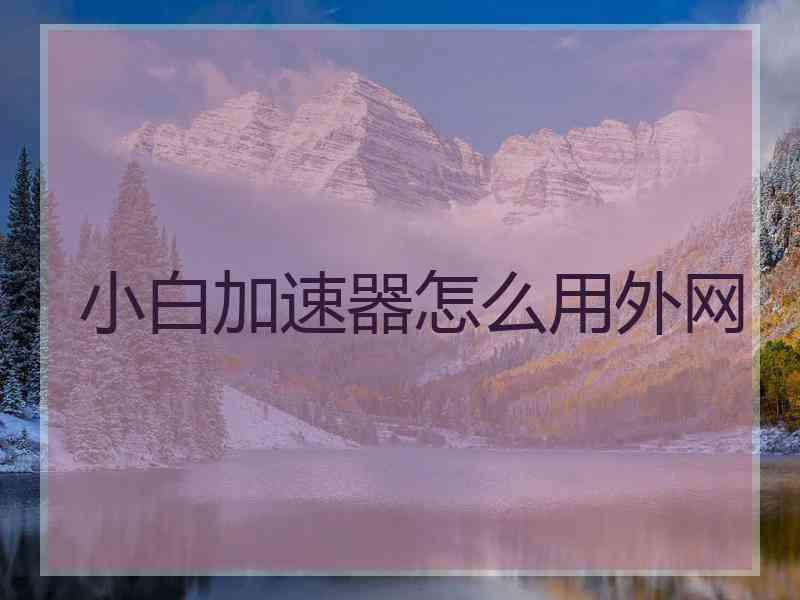 小白加速器怎么用外网
