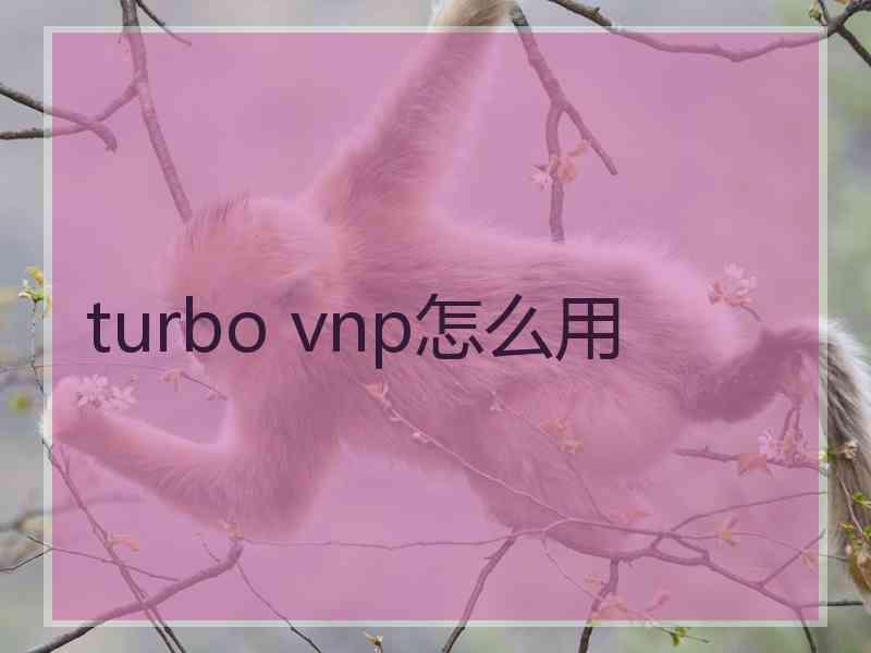 turbo vnp怎么用