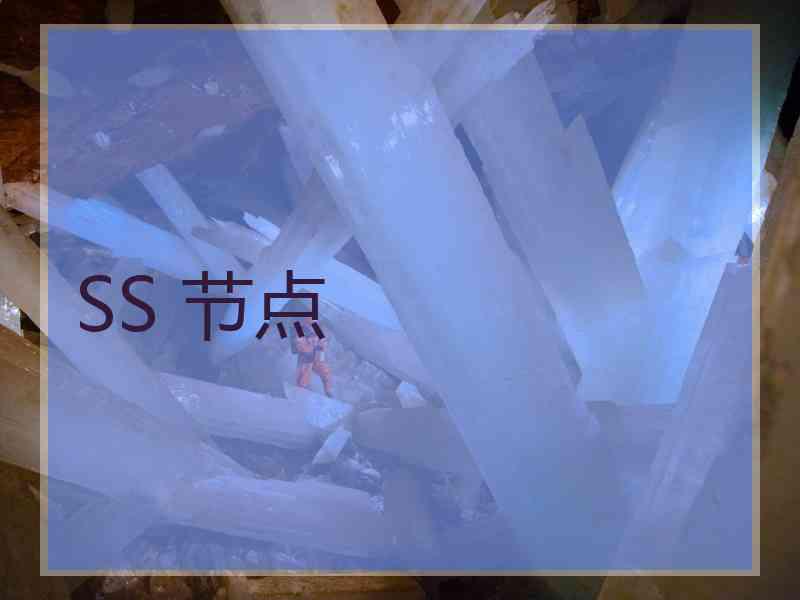 SS 节点