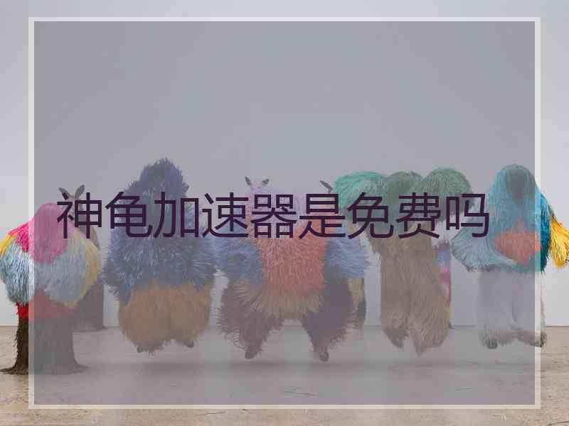 神龟加速器是免费吗