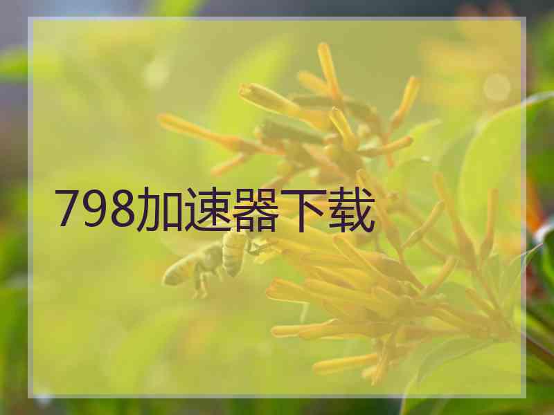 798加速器下载