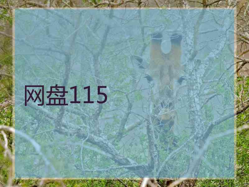 网盘115