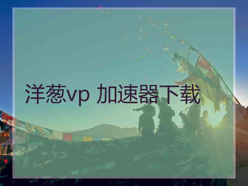 洋葱vp 加速器下载