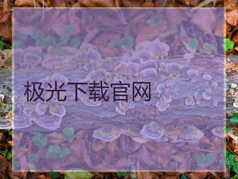 极光下载官网