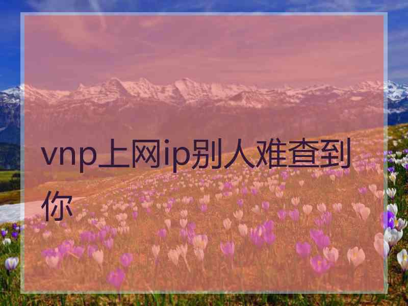 vnp上网ip别人难查到你