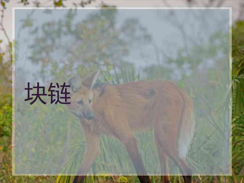 块链