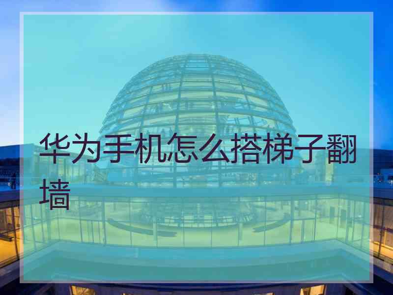 华为手机怎么搭梯子翻墙