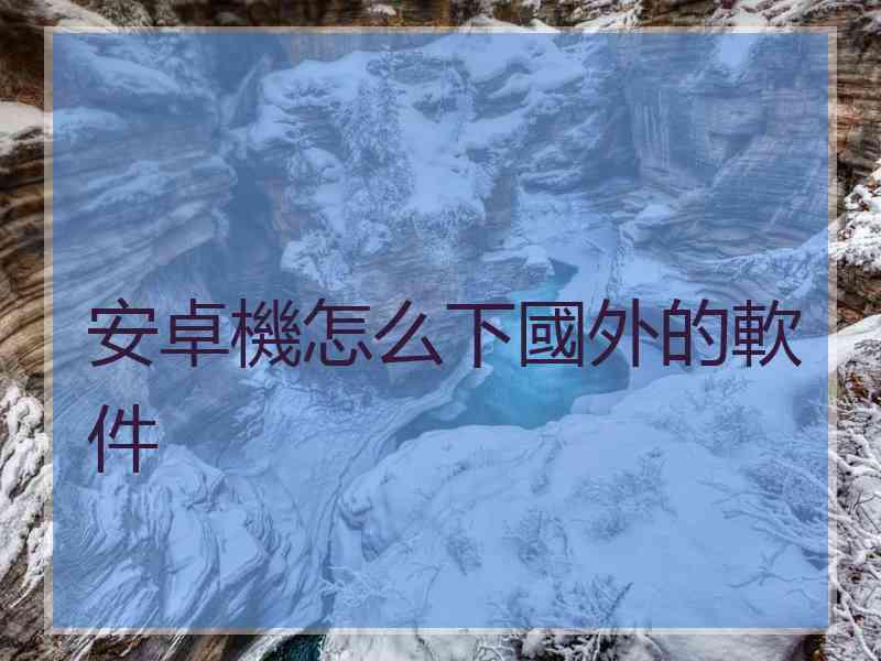 安卓機怎么下國外的軟件