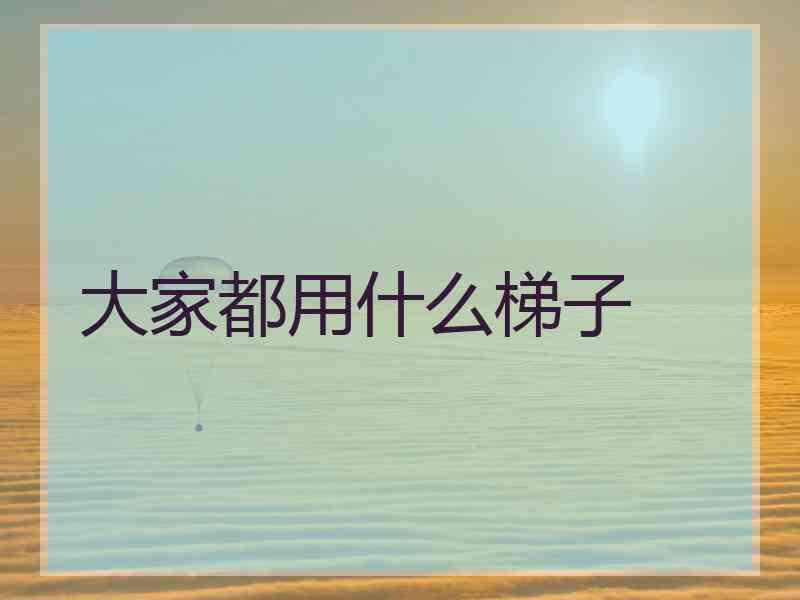 大家都用什么梯子