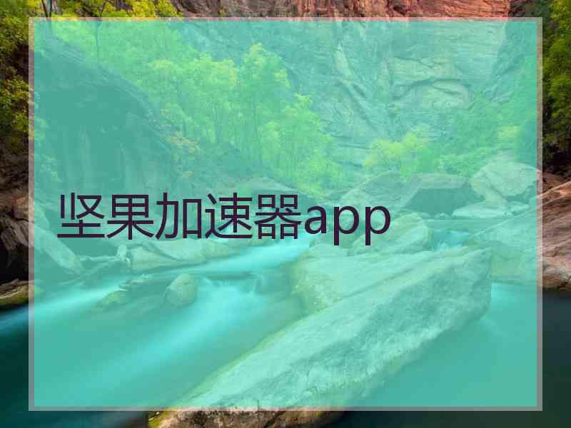 坚果加速器app