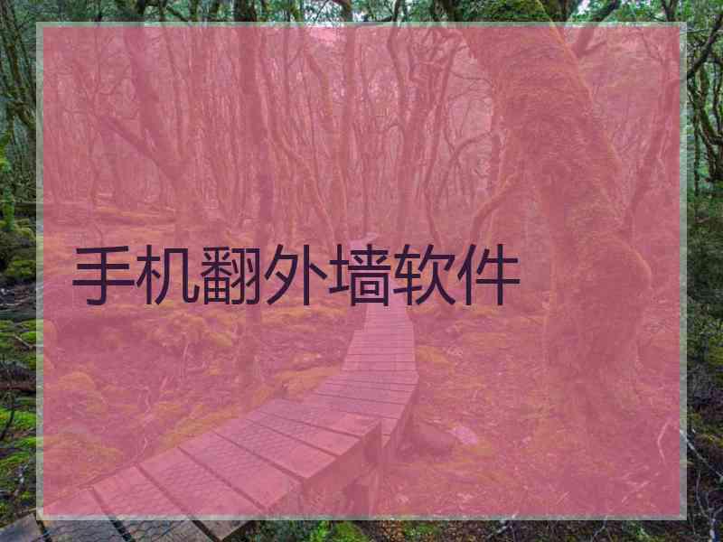 手机翻外墙软件
