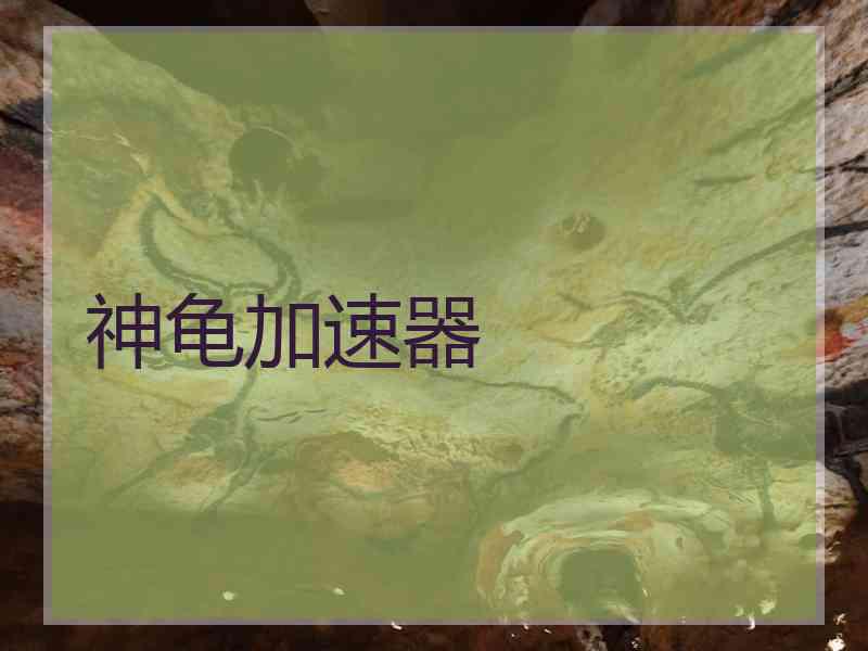 神龟加速器
