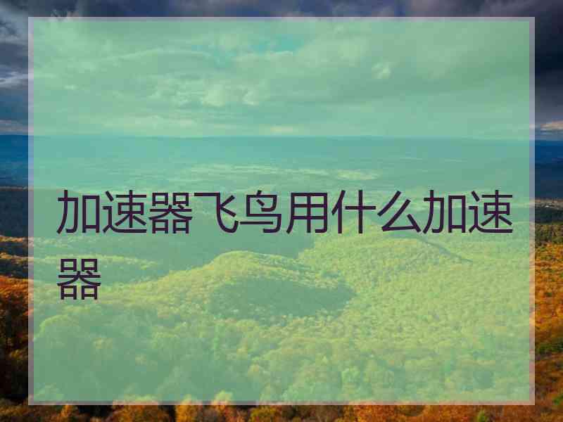 加速器飞鸟用什么加速器