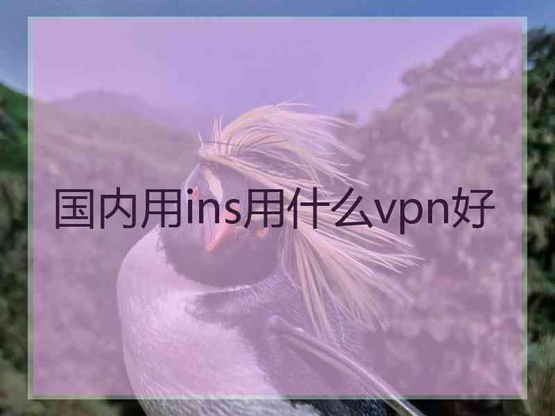 国内用ins用什么vpn好