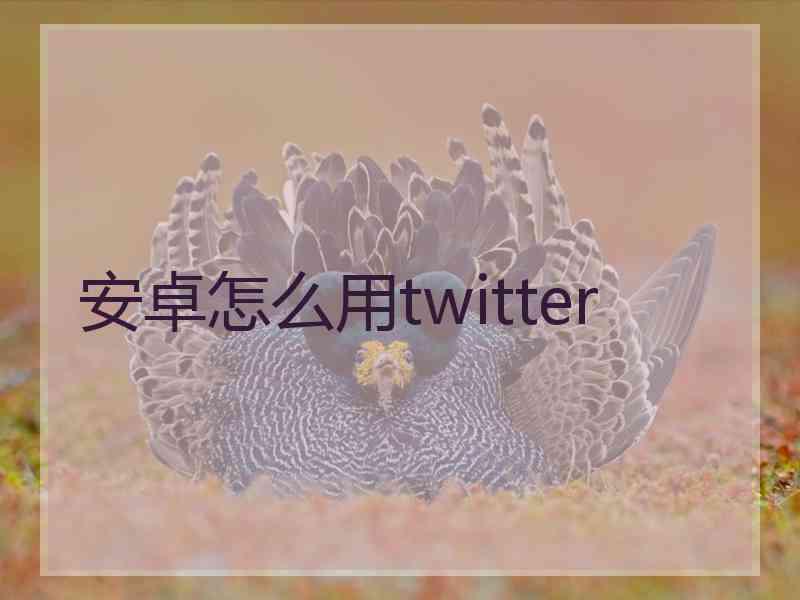 安卓怎么用twitter