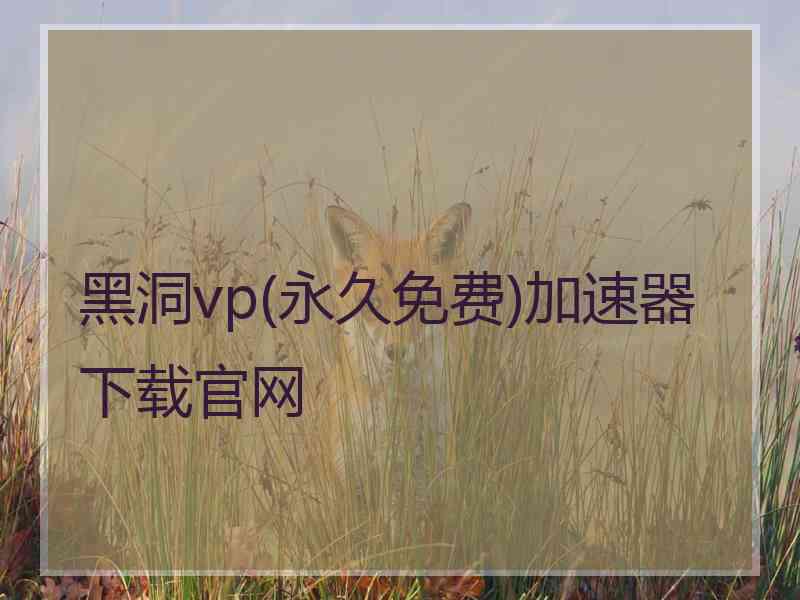 黑洞vp(永久免费)加速器下载官网