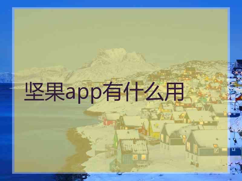 坚果app有什么用