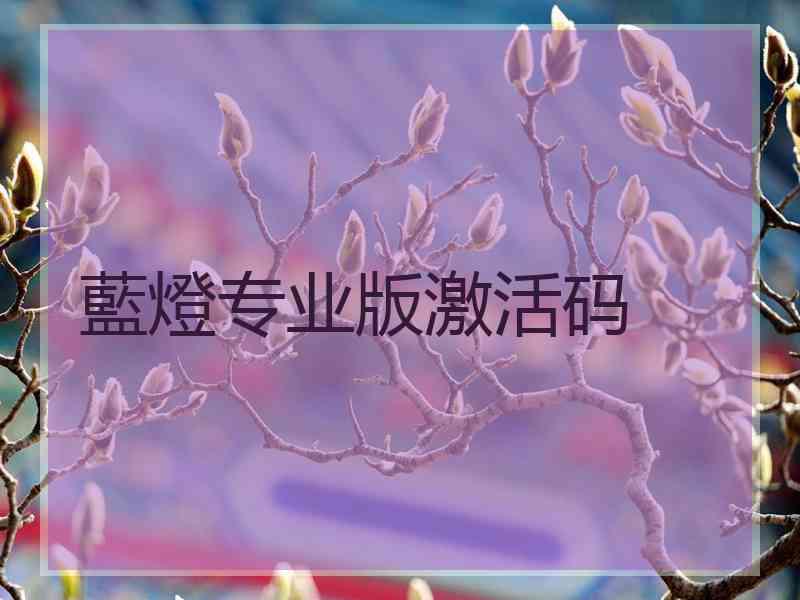 藍燈专业版激活码