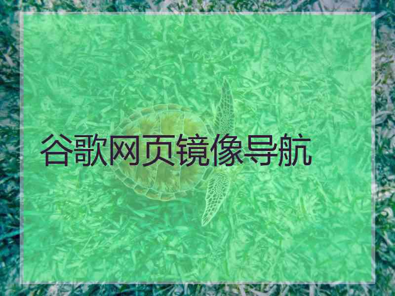 谷歌网页镜像导航