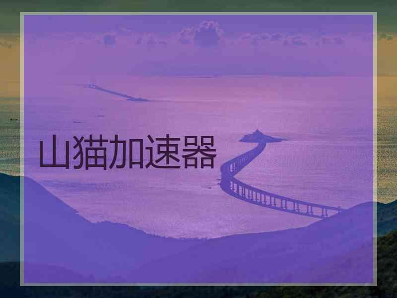 山猫加速器