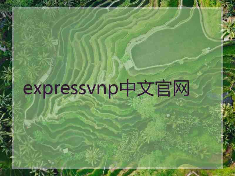expressvnp中文官网