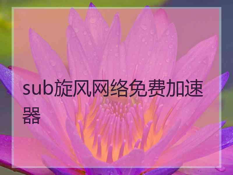 sub旋风网络免费加速器