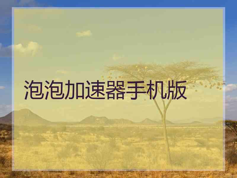 泡泡加速器手机版