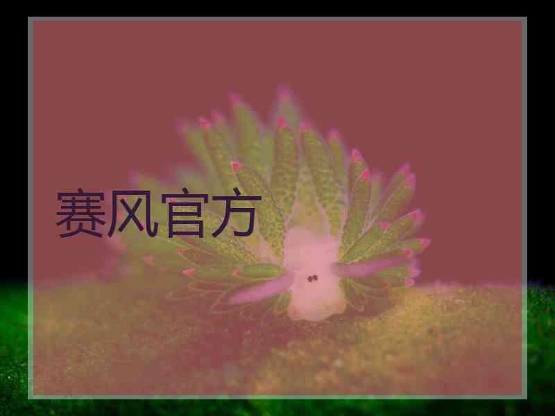 赛风官方