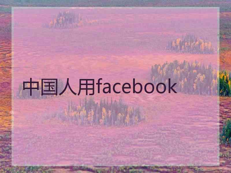 中国人用facebook