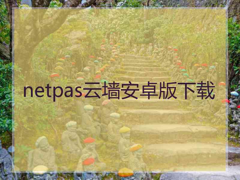 netpas云墙安卓版下载