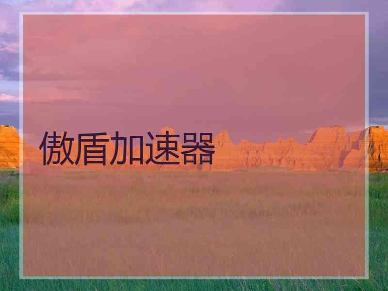 傲盾加速器