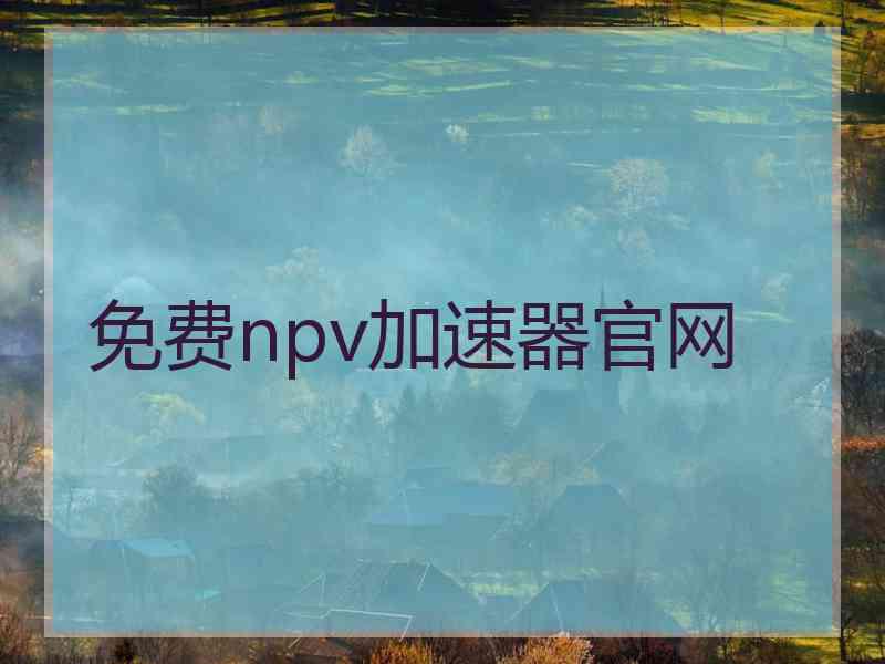 免费npv加速器官网
