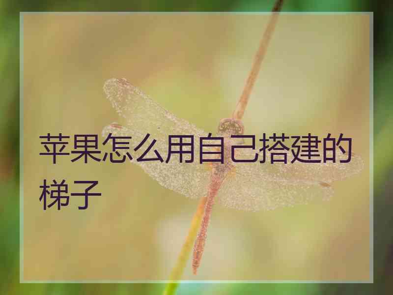 苹果怎么用自己搭建的梯子