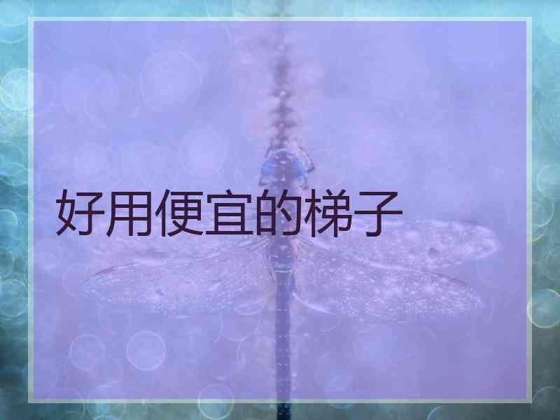 好用便宜的梯子