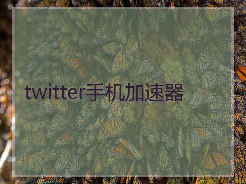 twitter手机加速器