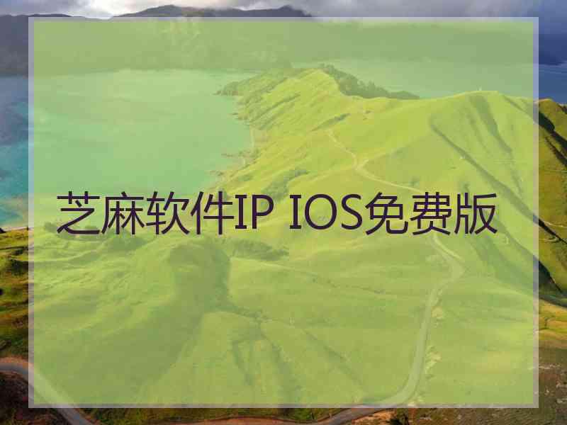 芝麻软件IP IOS免费版
