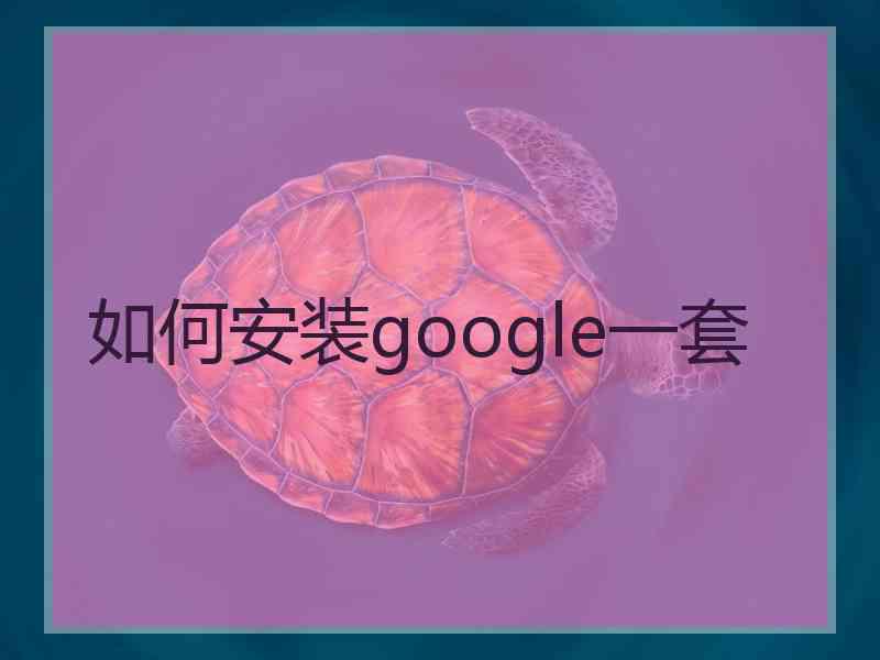如何安装google一套