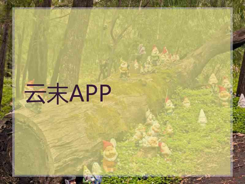 云末APP