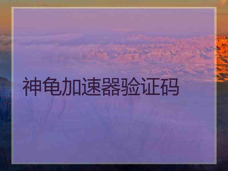 神龟加速器验证码