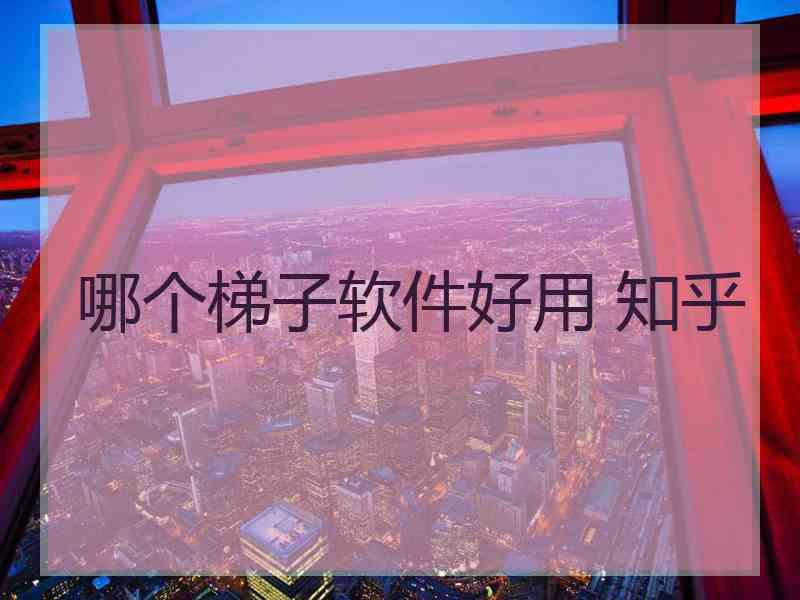 哪个梯子软件好用 知乎