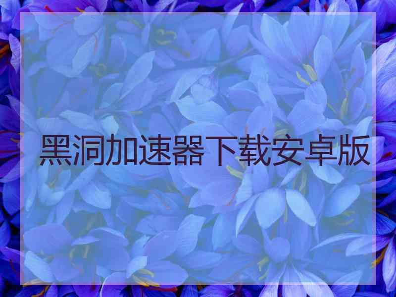 黑洞加速器下载安卓版