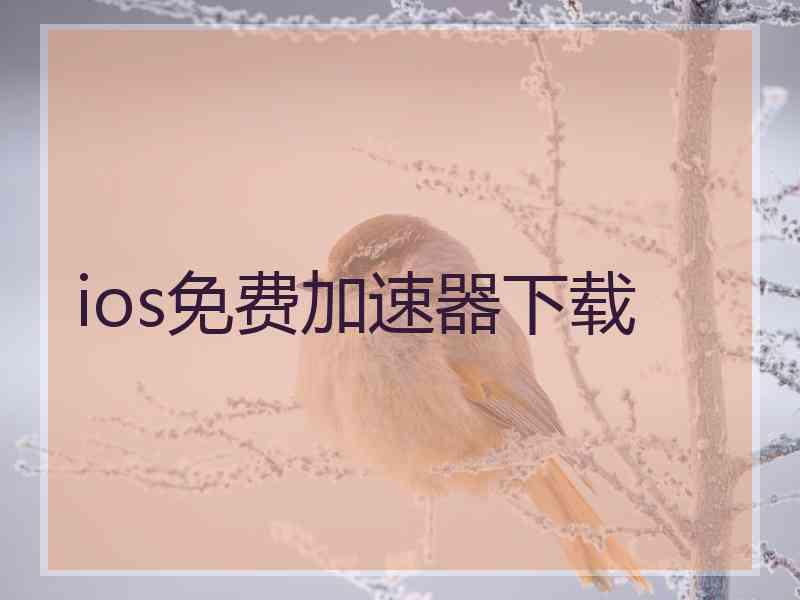 ios免费加速器下载