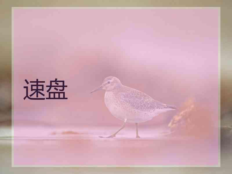 速盘
