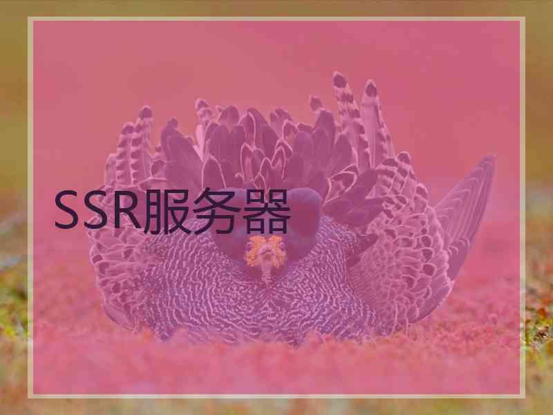 SSR服务器