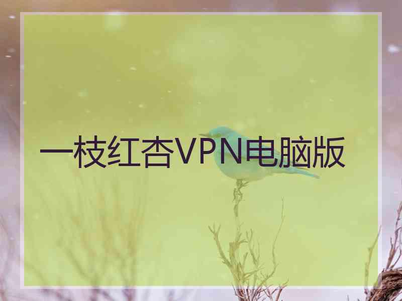 一枝红杏VPN电脑版