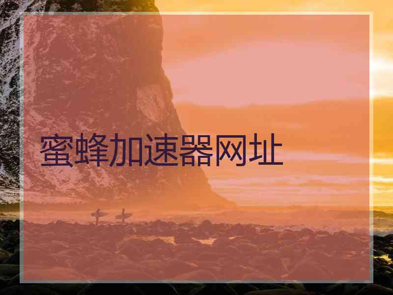 蜜蜂加速器网址