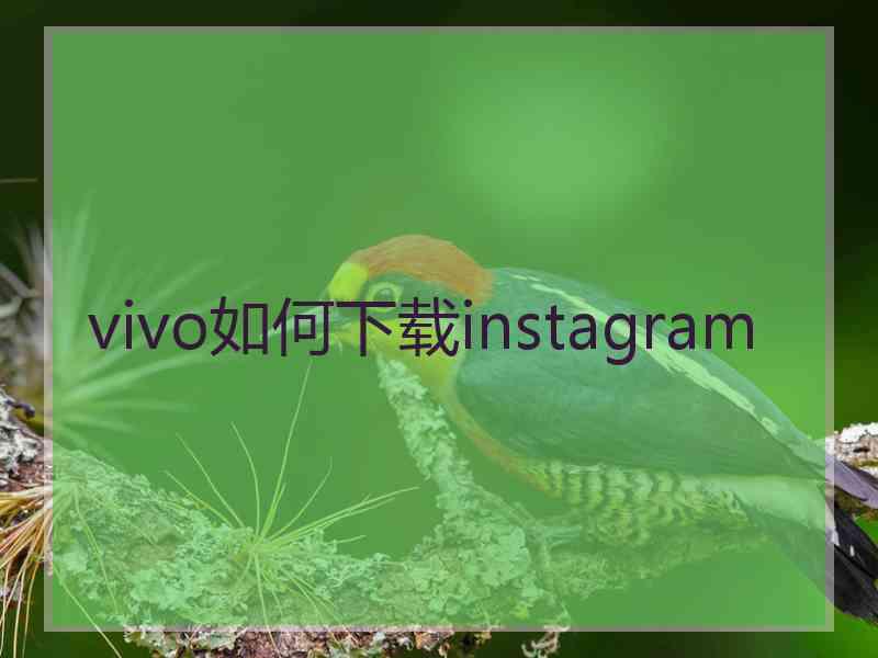 vivo如何下载instagram