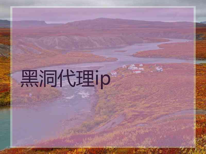 黑洞代理ip